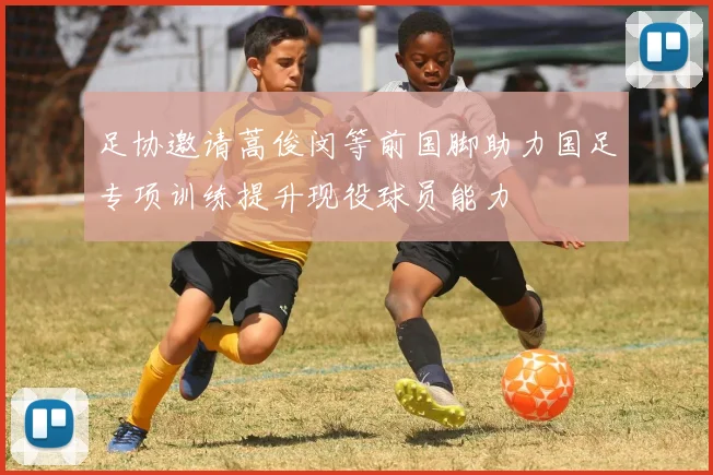 足协邀请蒿俊闵等前国脚助力国足专项训练提升现役球员能力